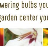 Ad - Garden Center 1