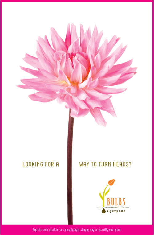 Flower Poster - Turn Heads