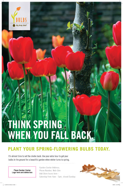 Daylight Savings Poster - Think Spring